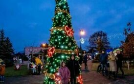 _DSC8994