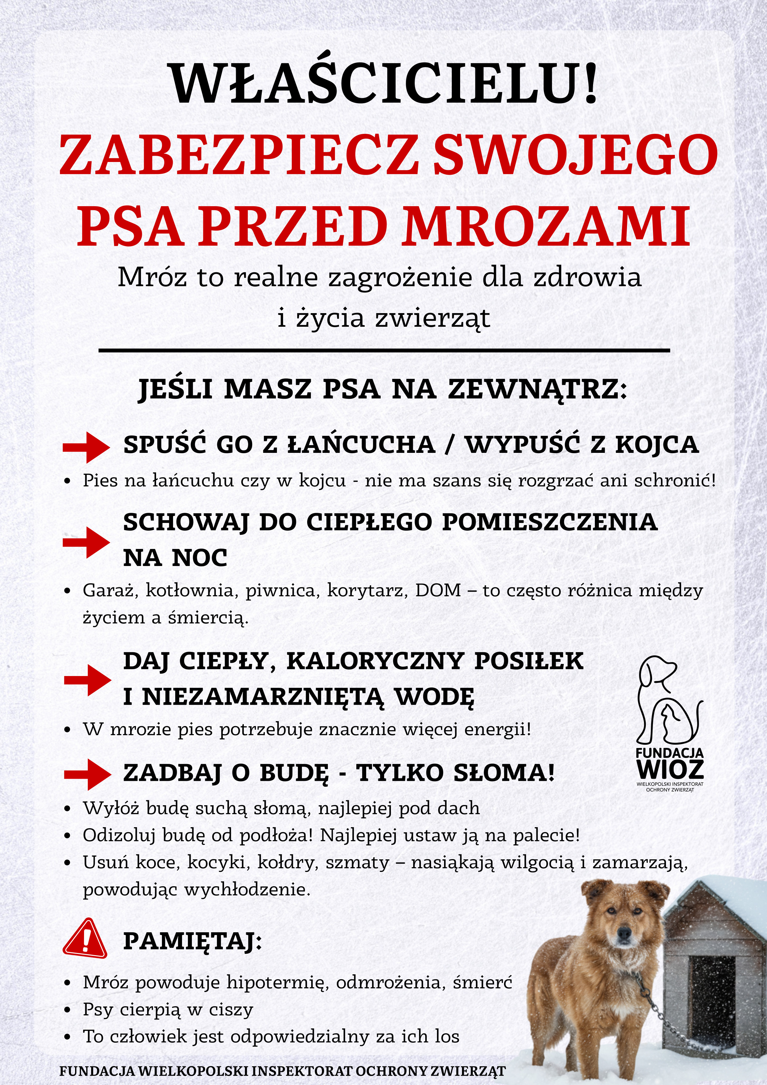 WŁAŚCICIELU! ZABEZPIECZ SWOJEGO PSA PRZED MROZAMI Mr&oacute;z to realne zagrożenie dla zdrowia i&nbsp;życia zwierząt JEŚLI MASZ PSA NA ZEWNĄTRZ: SPUŚĆ GO Z ŁAŃCUCHA / WYPUŚĆ Z KOJCA Pies na&nbsp;łańcuchu czy&nbsp;w kojcu - nie ma szans się rozgrzać ani&nbsp;schronić! SCHOWAJ DO CIEPŁEGO POMIESZCZENIA NA NOC Garaż, kotłownia, piwnica, korytarz, DOM &ndash; to często r&oacute;żnica między życiem a&nbsp;śmiercią. DAJ CIEPŁY, KALORYCZNY POSIŁEK I NIEZAMARZNIĘTĄ WODĘ W mrozie pies potrzebuje znacznie więcej energii! ZADBAJ O BUDĘ - TYLKO SŁOMA! Wył&oacute;ż budę suchą słomą, najlepiej pod dach Odizoluj budę od podłoża! Najlepiej ustaw ją na&nbsp;palecie! Usuń koce, kocyki, kołdry, szmaty &ndash; nasiąkają wilgocią i&nbsp;zamarzają, powodując wychłodzenie. PAMIĘTAJ: Mr&oacute;z powoduje hipotermię, odmrożenia, śmierć Psy cierpią w&nbsp;ciszy To człowiek jest odpowiedzialny za ich los FUNDACJA WIELKOPOLSKI INSPEKTORAT OCHRONY ZWIERZĄT